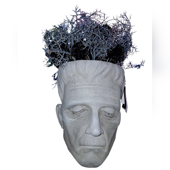 Martha Stewart Frankenstein Head Planter - Picture 1 of 5